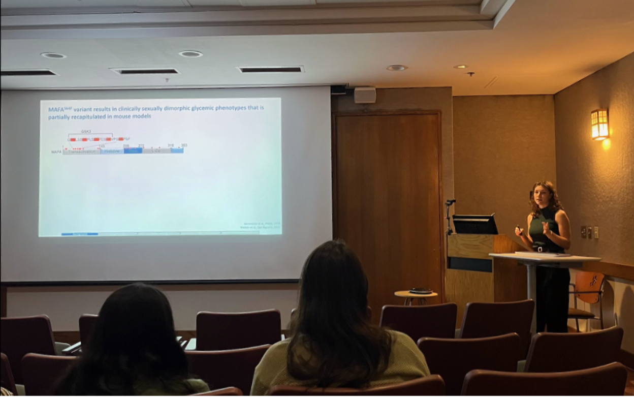 Lab equipment and setup