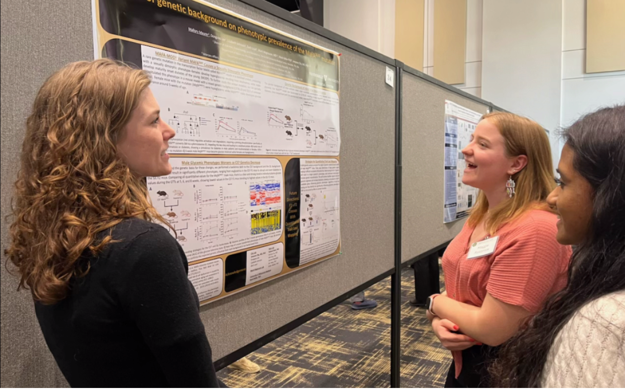 Research in progress